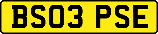 BS03PSE