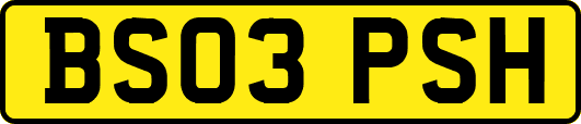 BS03PSH