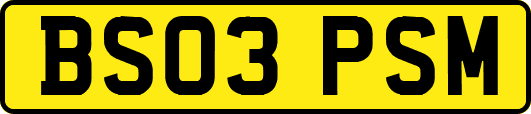 BS03PSM