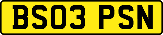 BS03PSN