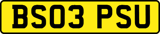 BS03PSU