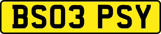 BS03PSY