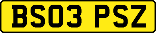 BS03PSZ