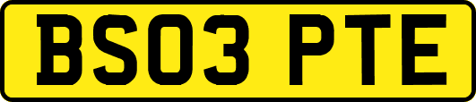 BS03PTE