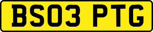BS03PTG