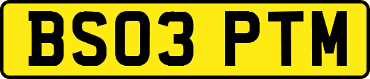 BS03PTM