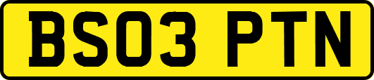 BS03PTN