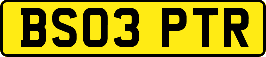 BS03PTR