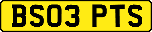 BS03PTS