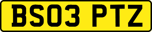 BS03PTZ
