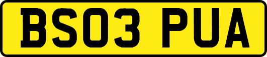 BS03PUA