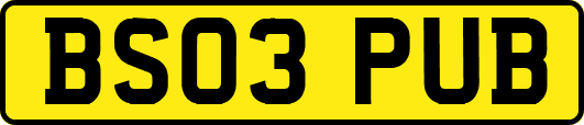 BS03PUB