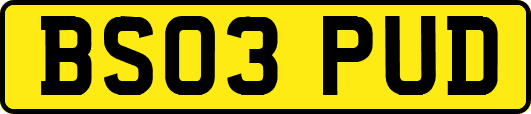 BS03PUD