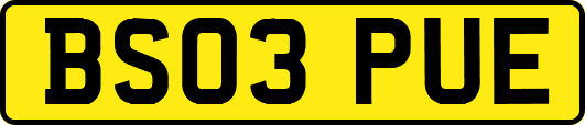 BS03PUE