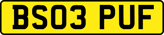 BS03PUF
