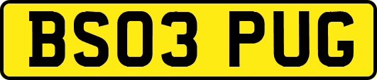 BS03PUG