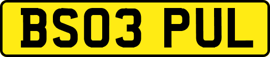 BS03PUL