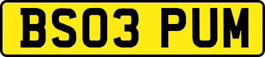 BS03PUM