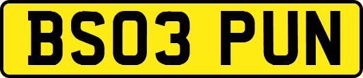 BS03PUN