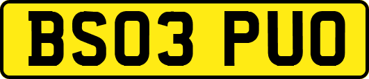 BS03PUO