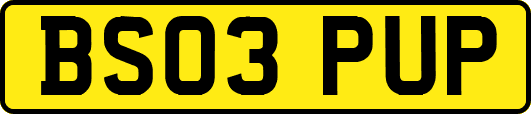 BS03PUP