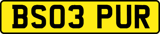 BS03PUR