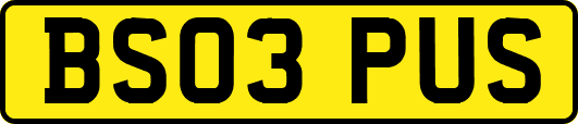 BS03PUS