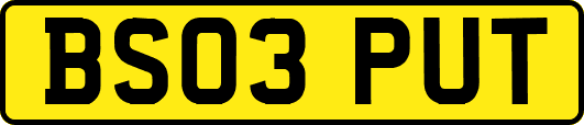 BS03PUT