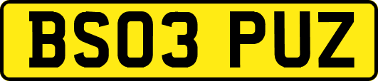 BS03PUZ