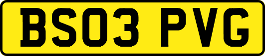 BS03PVG