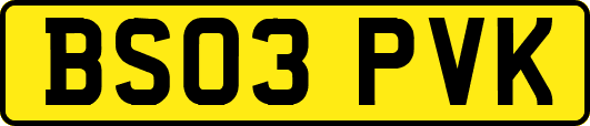 BS03PVK