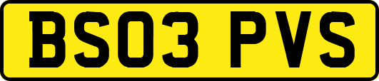 BS03PVS