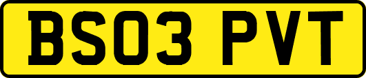 BS03PVT