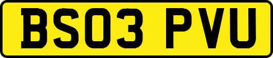 BS03PVU