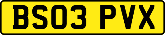 BS03PVX