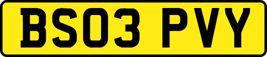 BS03PVY