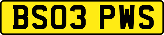 BS03PWS