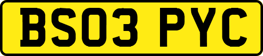 BS03PYC