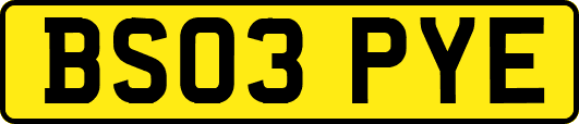 BS03PYE