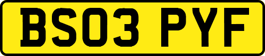 BS03PYF
