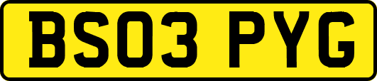 BS03PYG