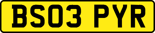 BS03PYR