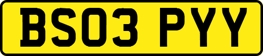 BS03PYY