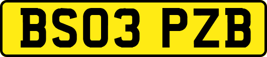 BS03PZB