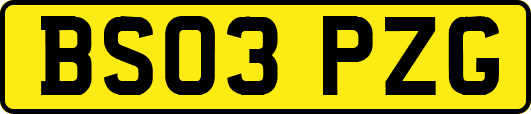 BS03PZG