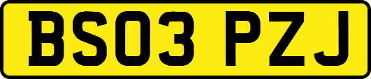 BS03PZJ