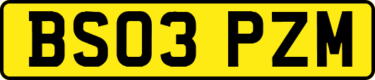 BS03PZM