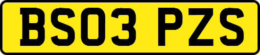 BS03PZS