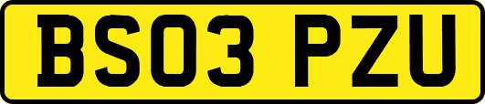 BS03PZU