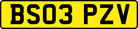 BS03PZV